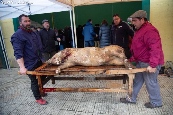 Matanzas Navaleno 2025