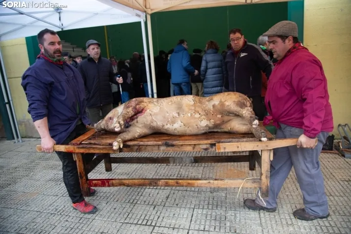Matanzas Navaleno 2025