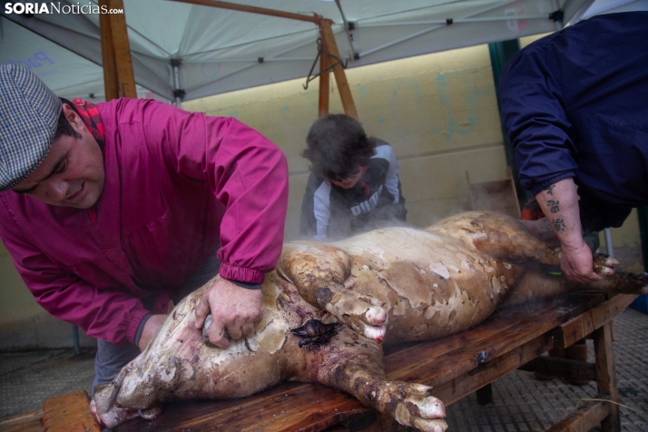 Matanzas Navaleno 2025