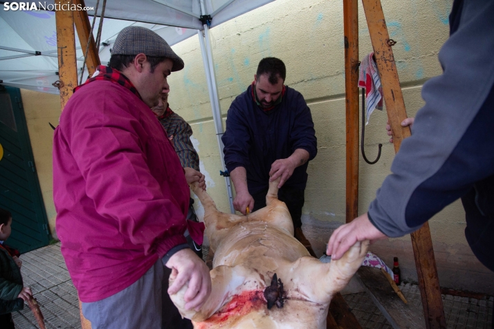 Matanzas Navaleno 2025