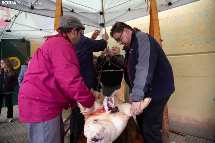 Matanzas Navaleno 2025