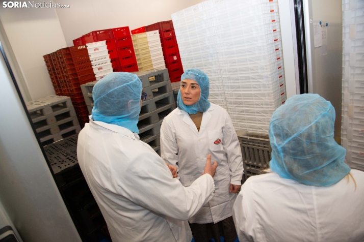 Moreno Saez en el PEMA