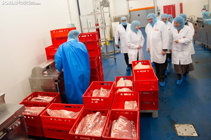 Moreno Saez en el PEMA