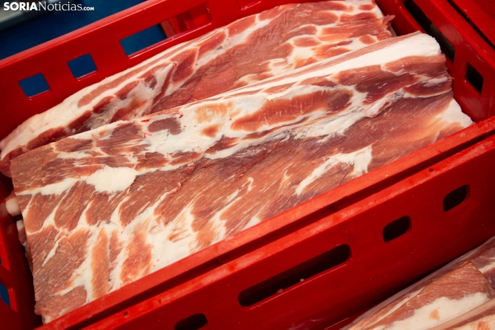 Moreno Saez en el PEMA