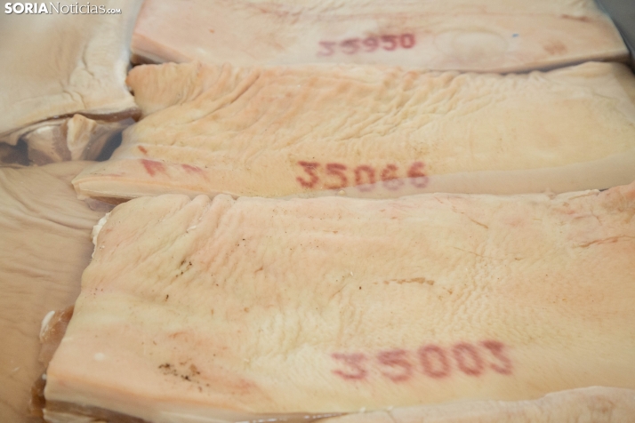 Moreno Saez en el PEMA