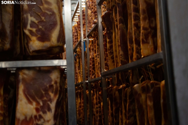 Moreno Saez en el PEMA