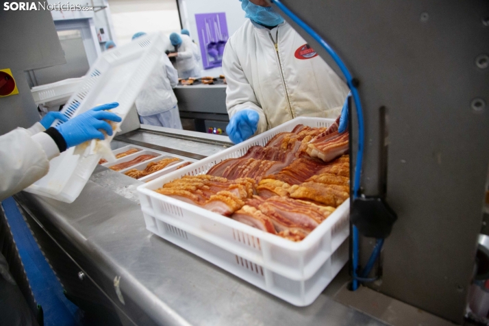 Moreno Saez en el PEMA