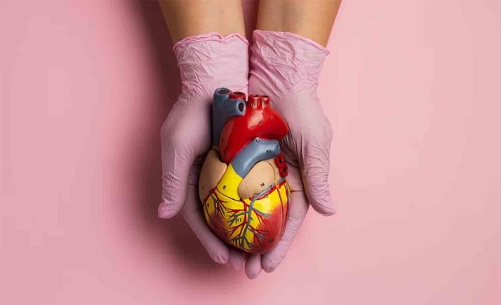 Solidaridad en Castilla y León.