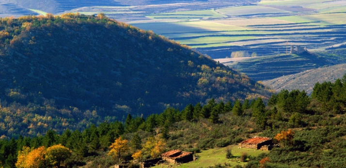 Sostenibilidad, tecnología y turismo: los deseos del presidente de la Mancomunidad de Tierras Altas para 2025