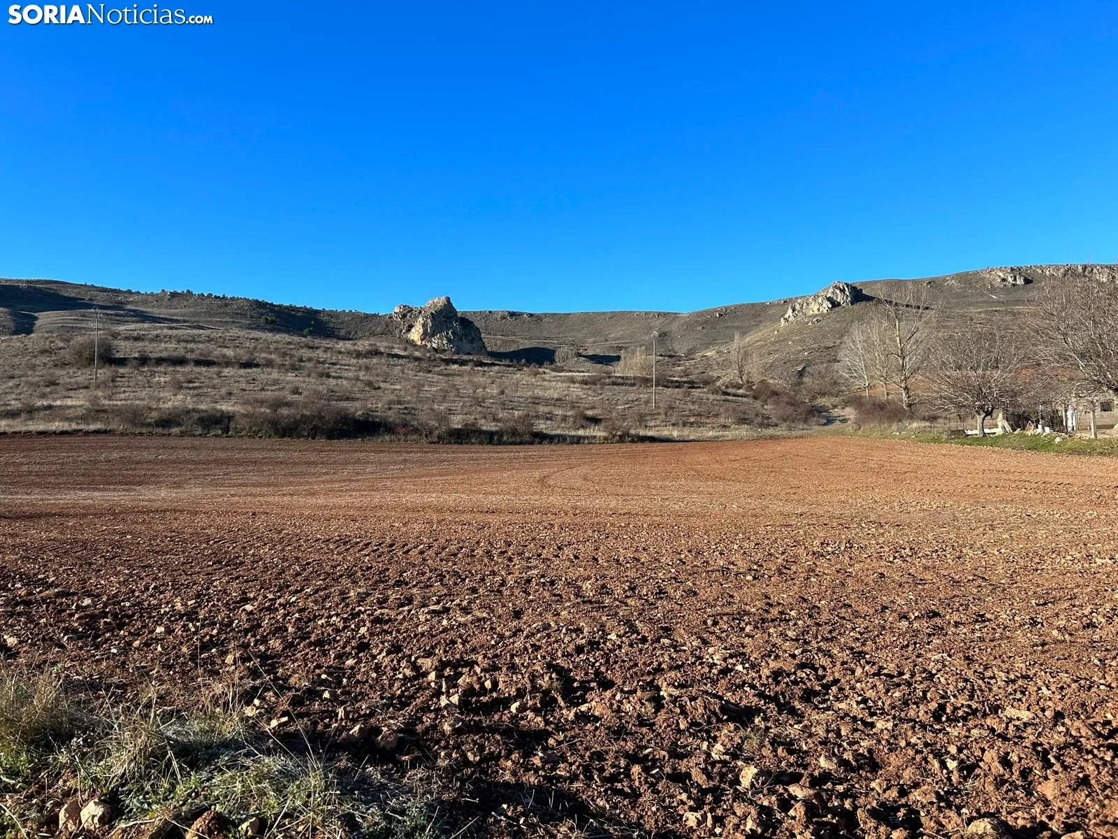 Foto 7 - Ruta: De Salinas de Medinaceli a Arbujuelo