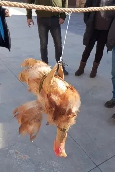 Foto 4 - Este pueblo de Soria de 70 habitantes cambia los gallos por pi&ntilde;atas para adaptar su fiesta a la actualidad