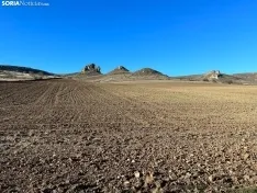 Foto 8 - Ruta: De Salinas de Medinaceli a Arbujuelo