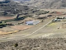 Foto 14 - Ruta: De Salinas de Medinaceli a Arbujuelo