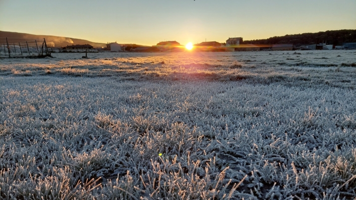 Después de una noche con aviso amarillo por bajas temperaturas, hoy las máximas llegarán a 14 grados en Soria