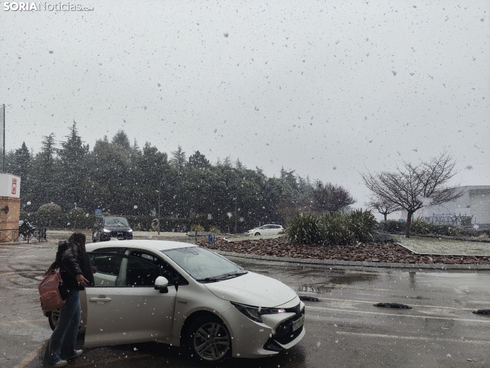 La nieve en la Dehesa. 