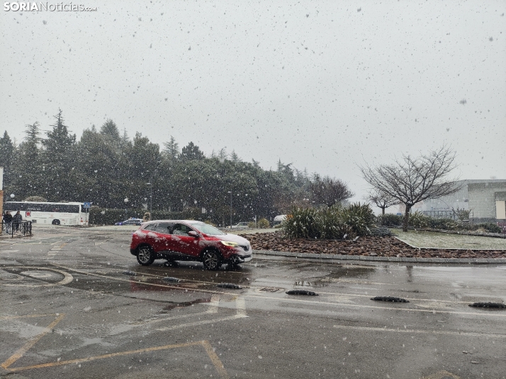 La nieve en la Dehesa. 