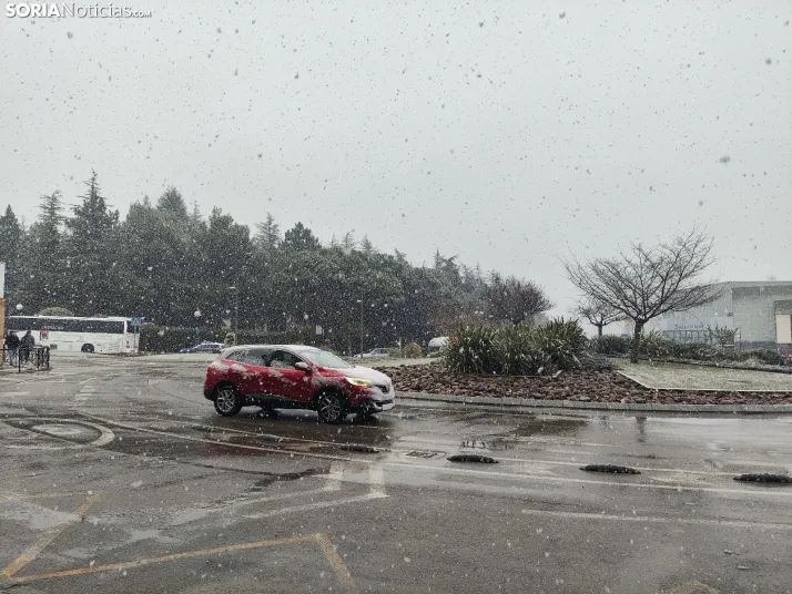 La nieve en la Dehesa. 