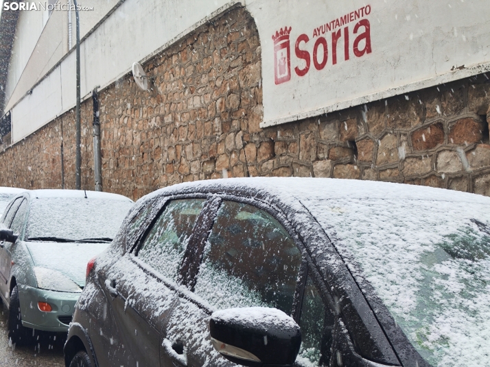 La nieve en la Dehesa. 