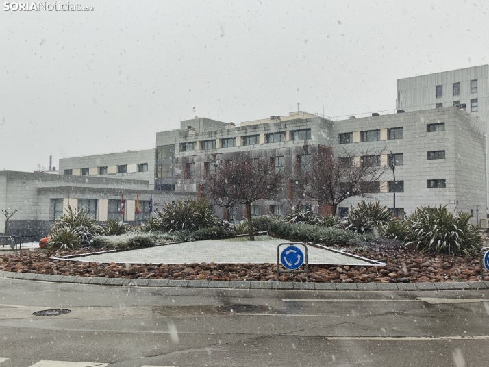 La nieve en la Dehesa. 