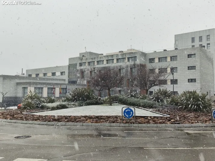 La nieve en la Dehesa. 