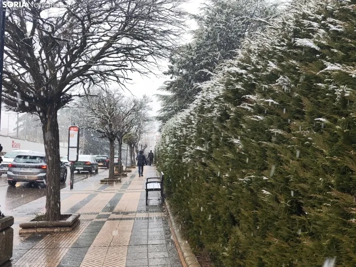 La nieve en la Dehesa. 