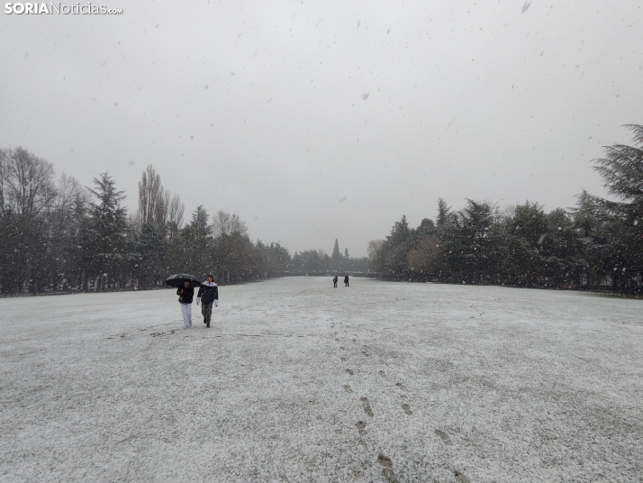 La nieve en la Dehesa. 