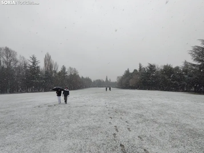 La nieve en la Dehesa. 