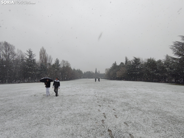La nieve en la Dehesa. 