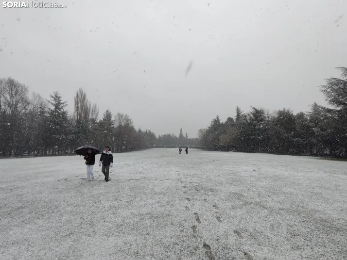 La nieve en la Dehesa. 