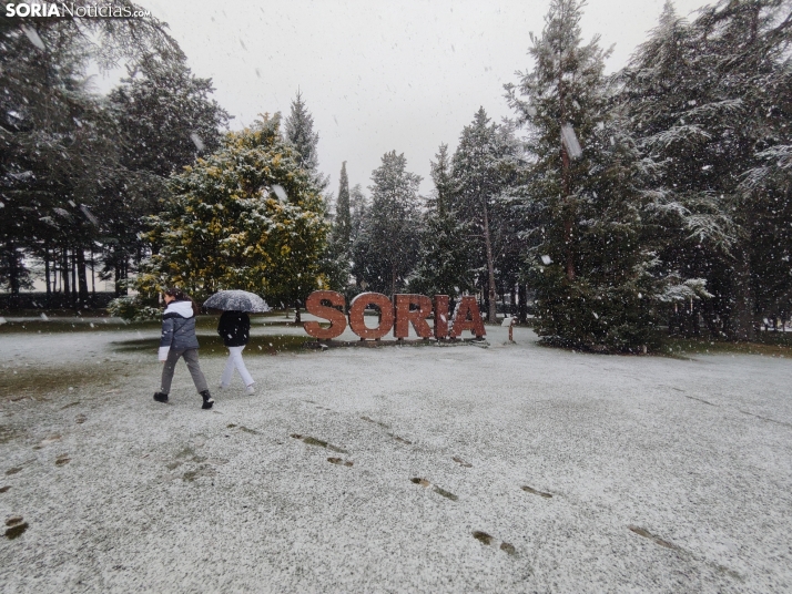 La nieve en la Dehesa. 