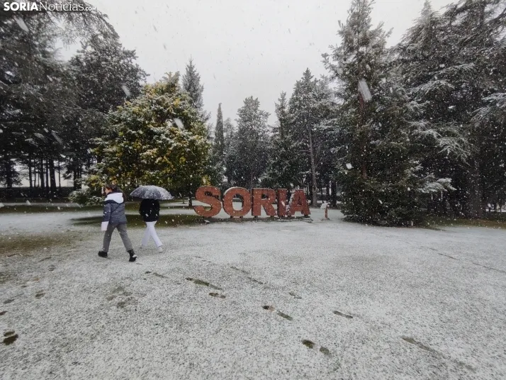 La nieve en la Dehesa. 