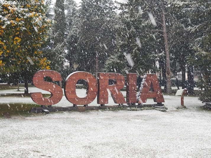 La nieve en la Dehesa. 