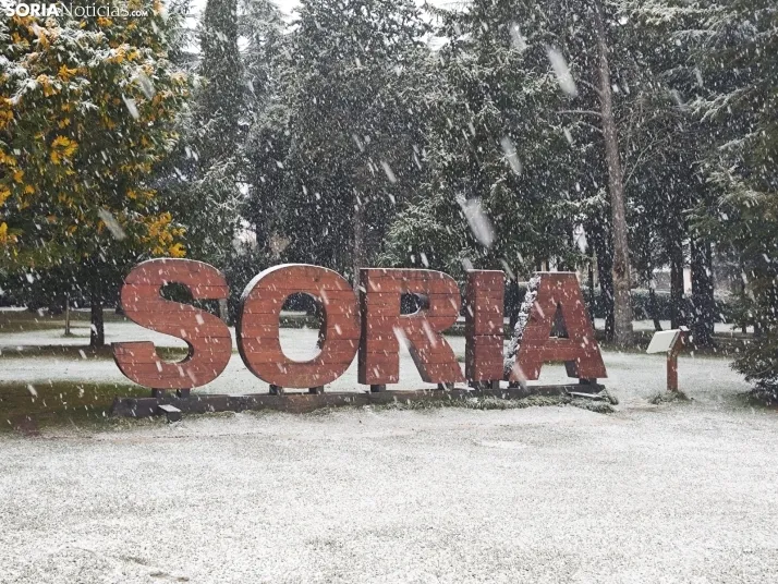 La nieve en la Dehesa. 