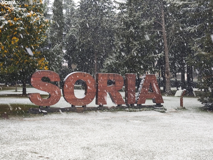 La nieve en la Dehesa. 