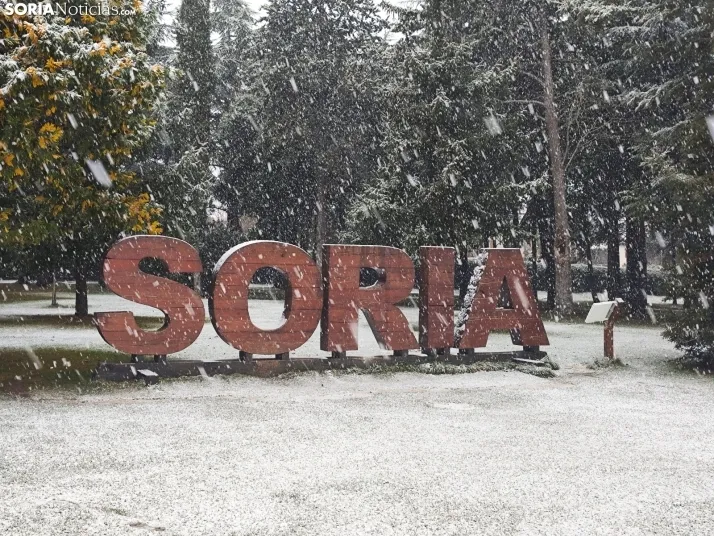 La nieve en la Dehesa. 