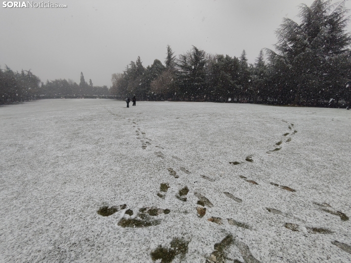 La nieve en la Dehesa. 