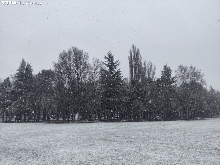La nieve en la Dehesa. 
