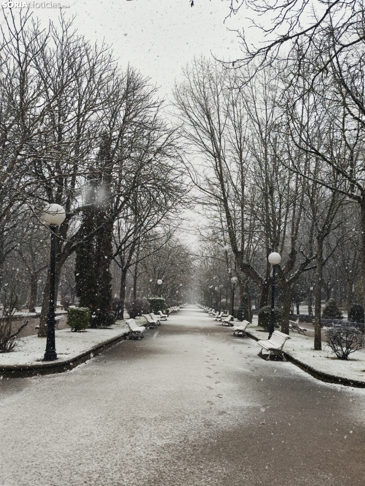 La nieve en la Dehesa. 