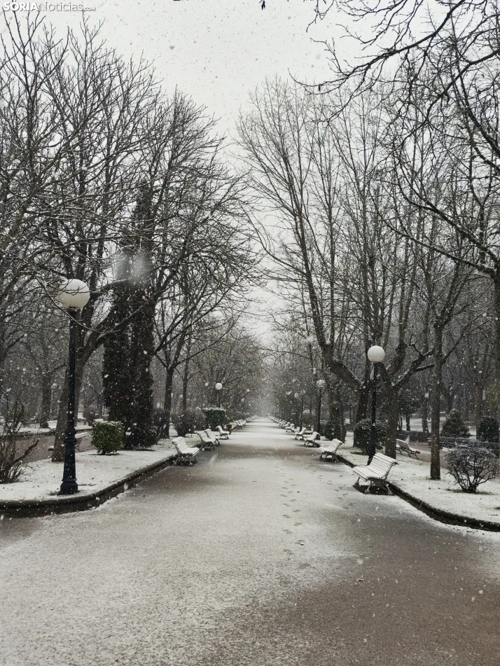 La nieve en la Dehesa. 