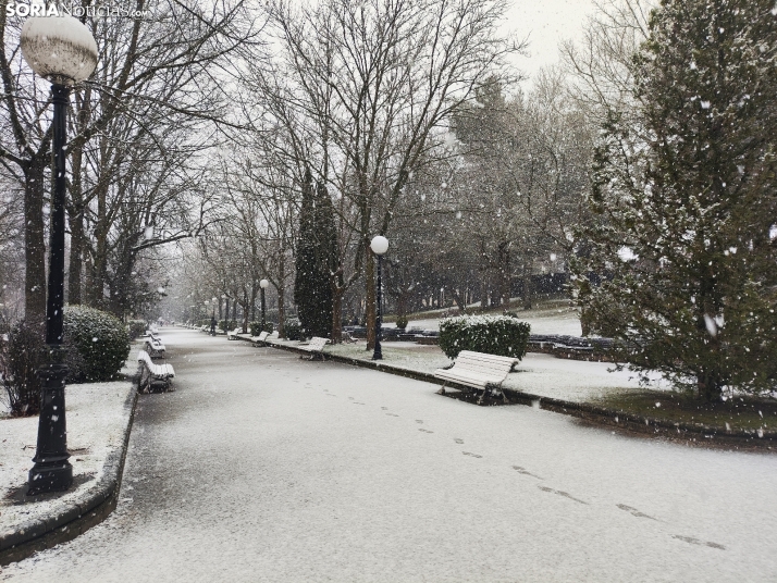 La nieve en la Dehesa. 