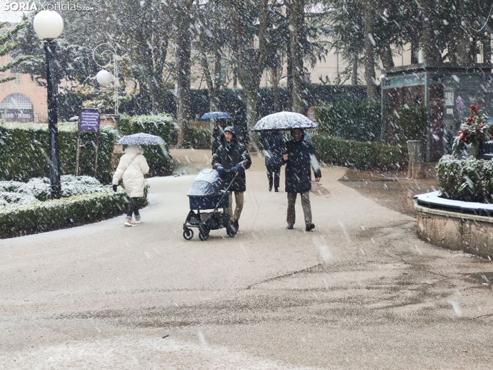 La nieve en la Dehesa. 