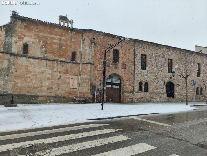 La nieve en la Dehesa. 