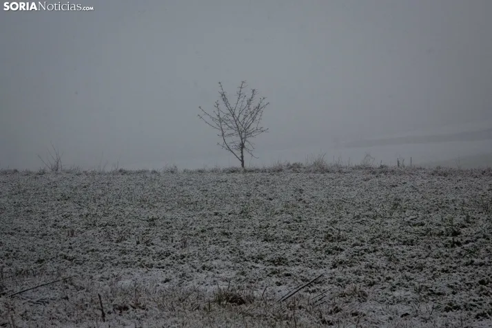 Nieve en la provincia