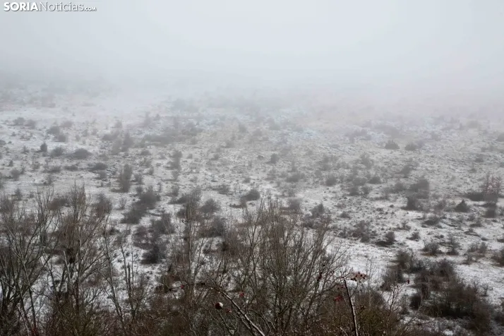Nieve en la provincia
