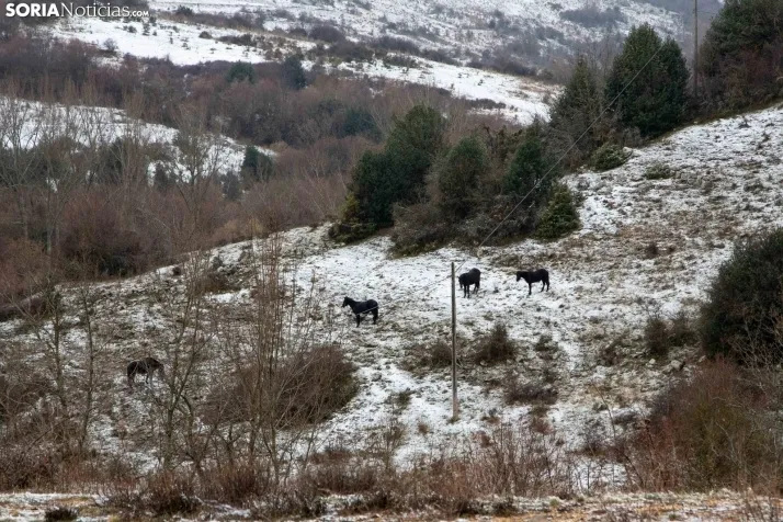 Nieve en la provincia