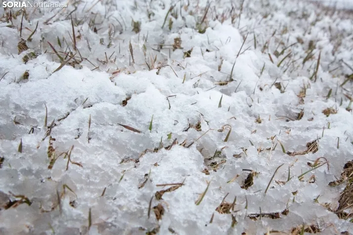 Nieve en la provincia