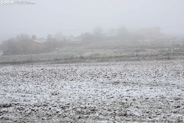 Nieve en la provincia