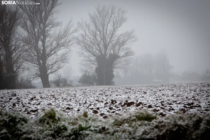 Nieve en la provincia