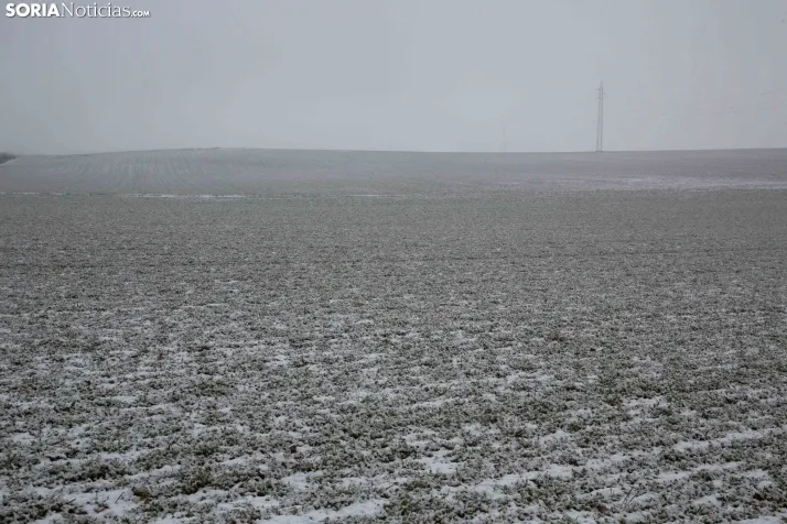 Nieve en la provincia