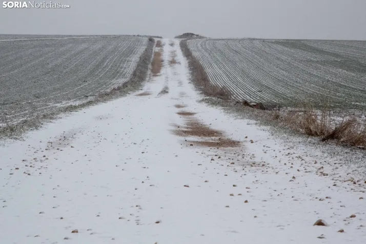 Nieve en la provincia